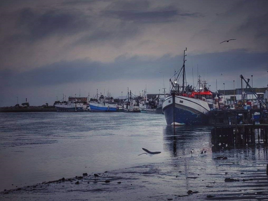 0 Bedroom Property for Sale in Port Owen Western Cape